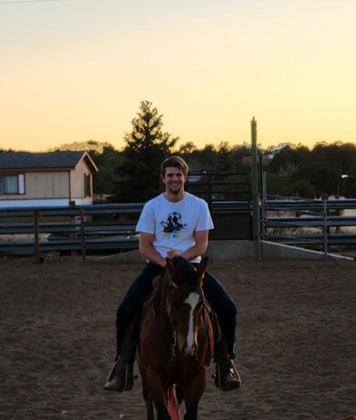 Experienced Veterinarians Animal Hospital in Flagstaff